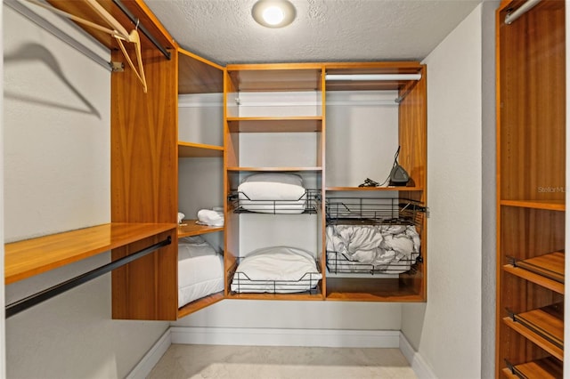 4522 W N B St, Tampa, FL 33609 - view of walk in closet