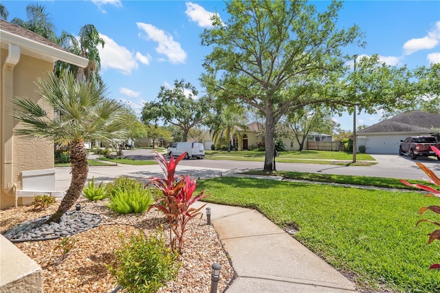 9905 Woodbay Dr, Tampa, FL 33626 - photo 9