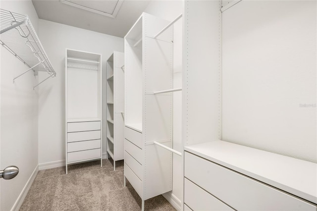 walk in closet with light colored carpet and attic access