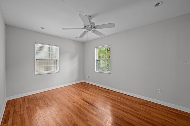 3409 W El Prado Blvd, Tampa, FL 33629 - photo 33