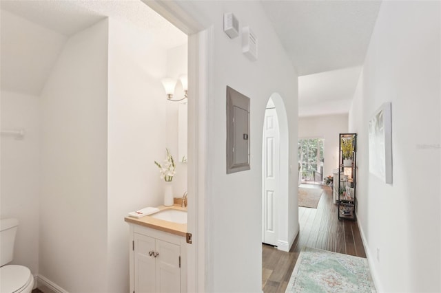 18187 Paradise Point Dr, Tampa, FL 33647 - half bath featuring electric panel, toilet, vanity, wood finished floors, and baseboards