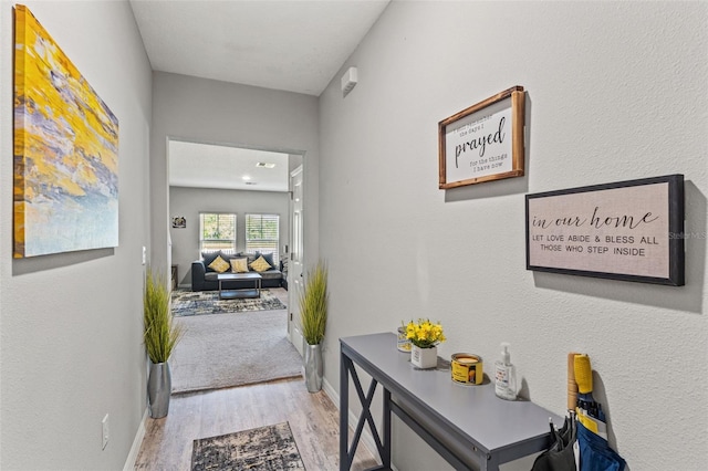 12856 French Market Dr, Riverview, FL 33579 - hall with baseboards and wood finished floors