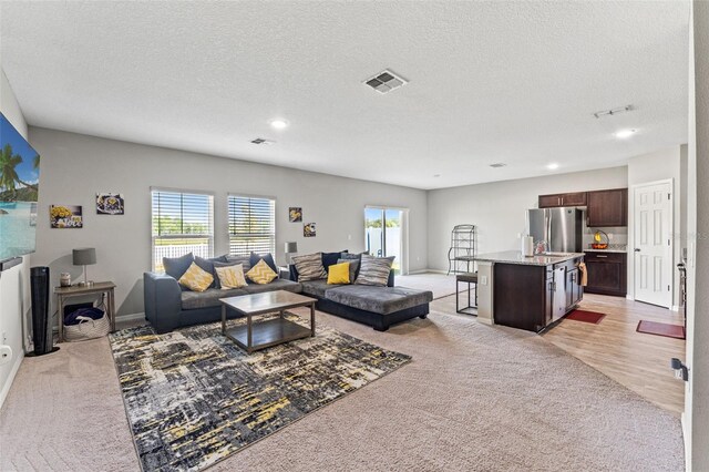 12856 French Market Dr, Riverview, FL 33579 - living area featuring a textured ceiling, baseboards, light colored carpet, and visible vents