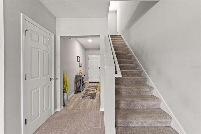 12856 French Market Dr, Riverview, FL 33579 - staircase featuring baseboards, carpet floors, and a textured ceiling