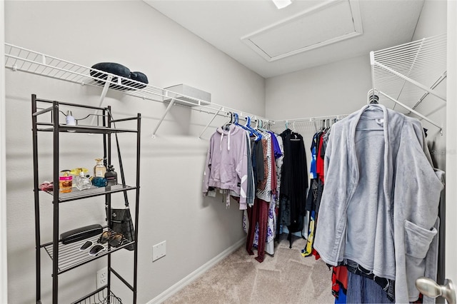 12856 French Market Dr, Riverview, FL 33579 - walk in closet featuring carpet and attic access