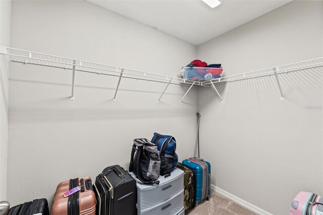 12856 French Market Dr, Riverview, FL 33579 - spacious closet featuring carpet