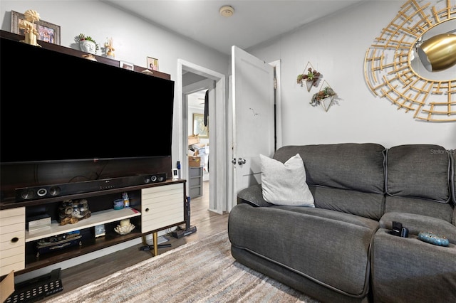 1134 9th Ave S, Saint Petersburg, FL 33705 - living room featuring wood finished floors