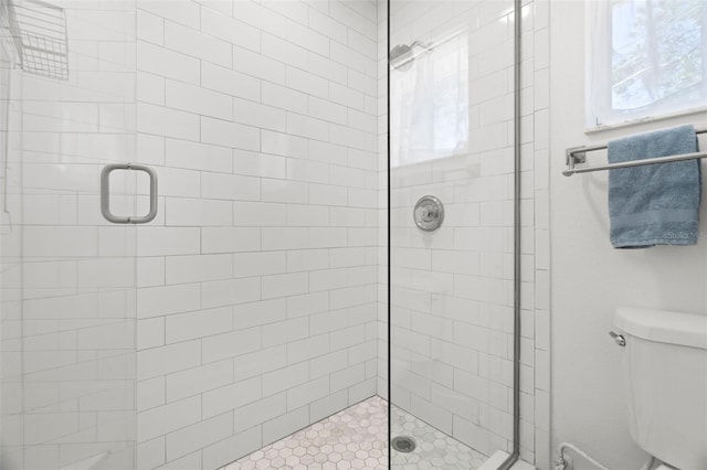 bathroom with toilet and a stall shower