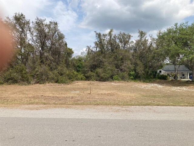 Pinetree Dr, Lake Wales, FL 33898 - photo 1