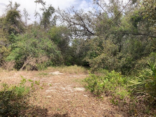 Pinetree Dr, Lake Wales, FL 33898 - photo 5