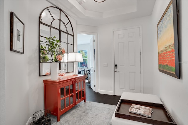 entrance foyer with baseboards, wood finished floors, and a raised ceiling