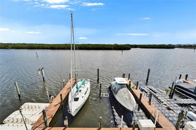 dock area with a water view