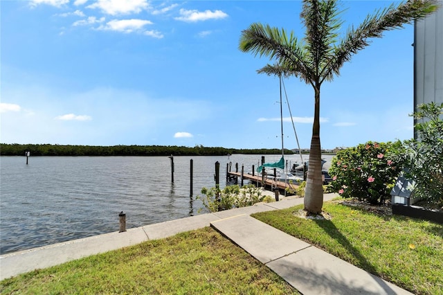 dock area with a water view