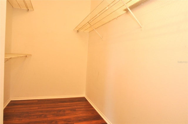 3358 Mermoor Dr Unit 2106, Palm Harbor, FL 34685 - walk in closet featuring dark wood-type flooring