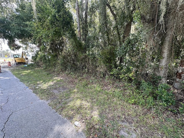 207 S Old Wire Rd, Wildwood, FL 34785 - photo 3