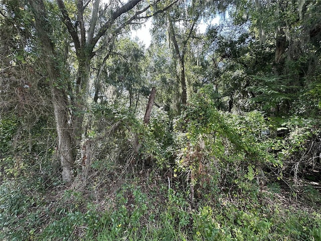 207 S Old Wire Rd, Wildwood, FL 34785 - photo 4