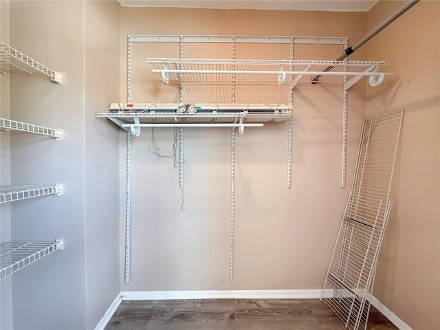spacious closet featuring wood finished floors