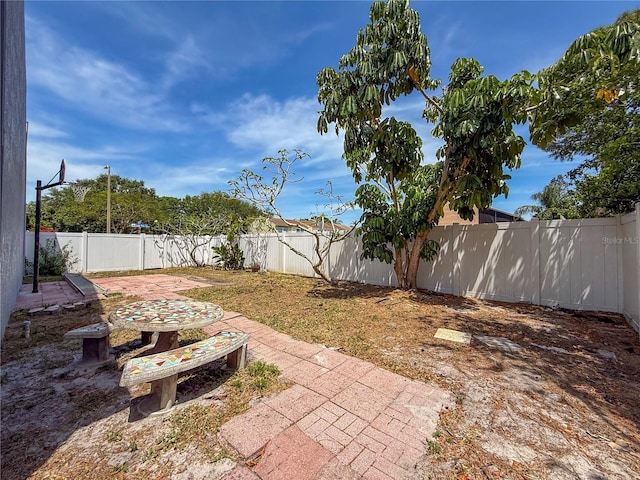 view of yard featuring a patio area and a fenced backyard