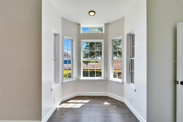 14807 Capps Estates Ln, Wimauma, FL 33598 - unfurnished dining area featuring plenty of natural light and dark wood-style floors