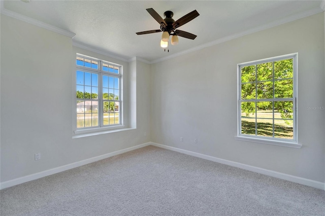 14807 Capps Estates Ln, Wimauma, FL 33598 - carpeted spare room with crown molding and a ceiling fan