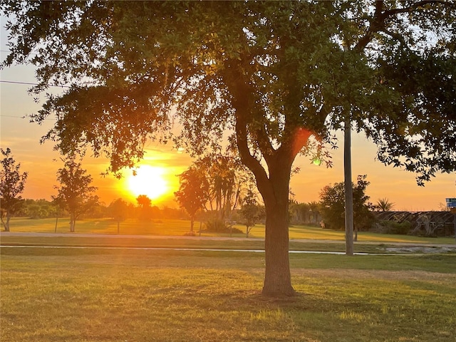 14807 Capps Estates Ln, Wimauma, FL 33598 - view of property's community featuring a yard