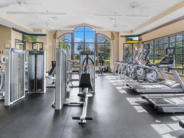 11248 Juglans Dr, Odessa, FL 33556 - exercise room featuring a ceiling fan, lofted ceiling, and visible vents