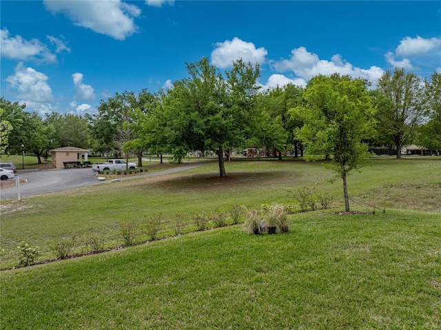 view of yard with aphalt driveway
