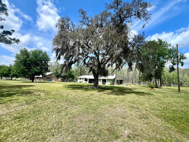 1464 Mount Pleasant Rd, Groveland, FL 34736 - photo 3