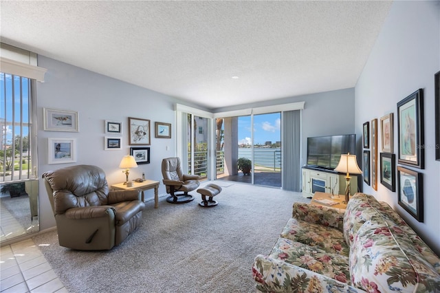 8020 Sailboat Key Blvd S Unit 101, St Pete Beach, FL 33707 - carpeted living room featuring healthy amount of natural light and a textured ceiling