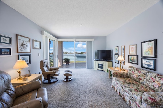 8020 Sailboat Key Blvd S Unit 101, St Pete Beach, FL 33707 - carpeted living room featuring a textured ceiling