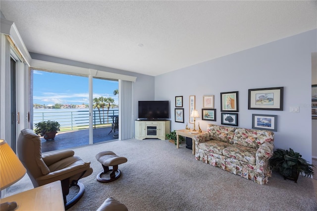 8020 Sailboat Key Blvd S Unit 101, St Pete Beach, FL 33707 - living area featuring carpet and a textured ceiling