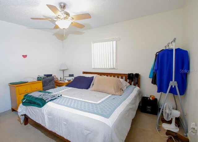 2725 Belle Haven Dr, Clearwater, FL 33763 - photo 23