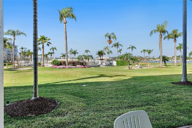 6021 Bahia Del Mar Cir Unit 137, Saint Petersburg, FL 33715 - view of yard