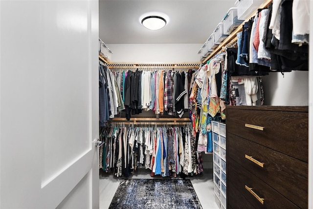 view of spacious closet