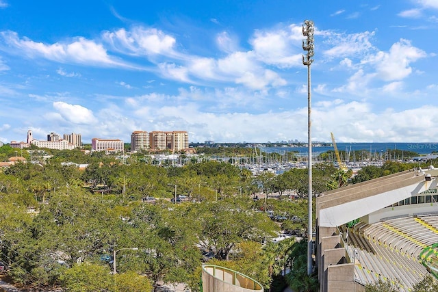 property view of water featuring a view of city