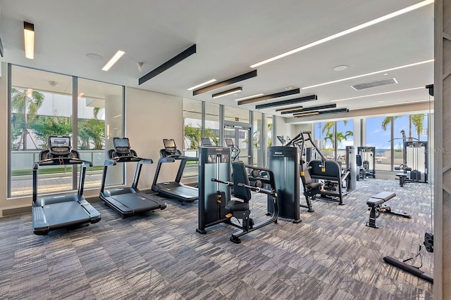 exercise room with carpet flooring, a wealth of natural light, and visible vents