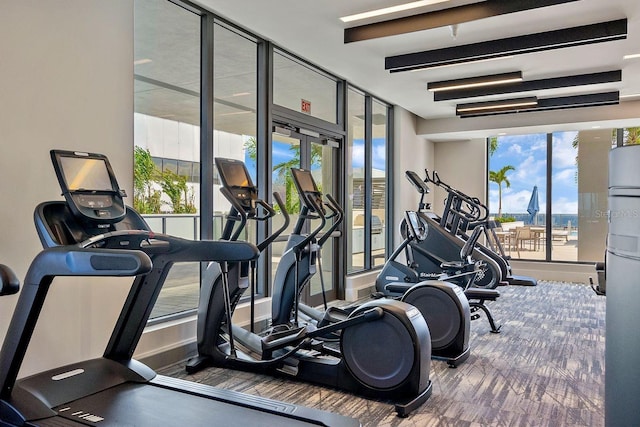 exercise room with expansive windows and a healthy amount of sunlight