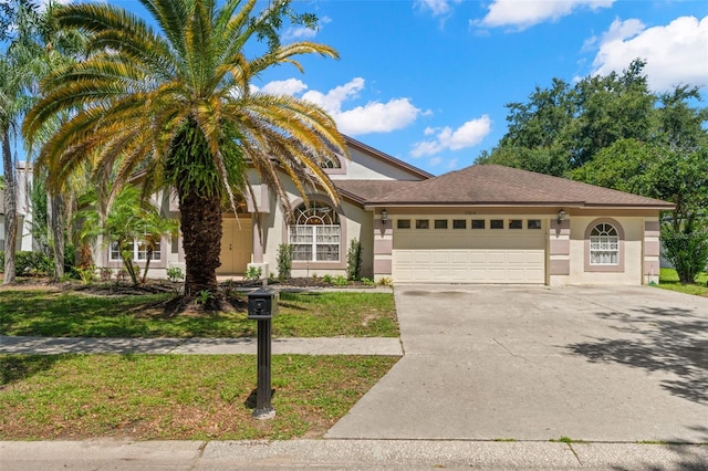 15014 Arbor Hollow Dr, Odessa, FL 33556 - view of front of home featuring an attached garage, stucco siding, and concrete driveway