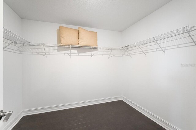 spacious closet with dark wood-style flooring