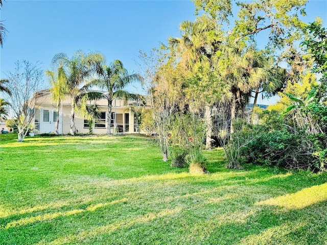 4942 Oldham St, Sarasota, FL 34238 - view of green lawn