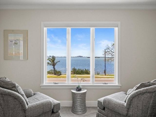 2087 Edgewater Dr Unit C, Clearwater, FL 33755 - sitting room with carpet floors, crown molding, and a water view