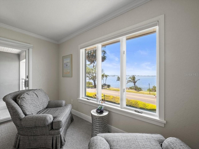 2087 Edgewater Dr Unit C, Clearwater, FL 33755 - sitting room featuring carpet floors, a water view, and crown molding