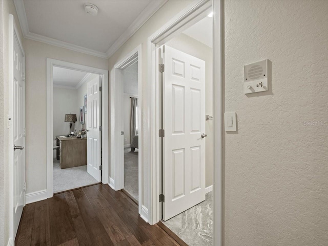 2087 Edgewater Dr Unit C, Clearwater, FL 33755 - hall with dark wood finished floors, ornamental molding, and a textured wall