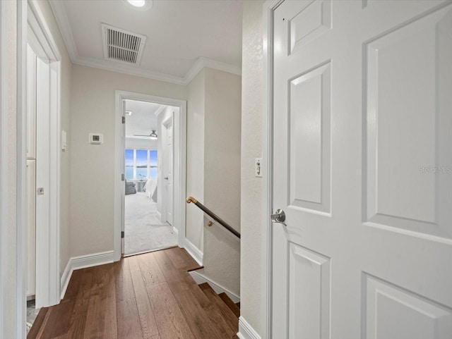 2087 Edgewater Dr Unit C, Clearwater, FL 33755 - hallway featuring dark wood-style flooring and crown molding