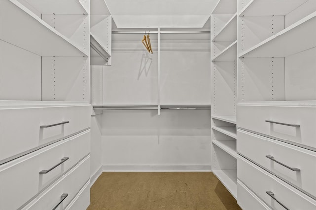 777 N Ashley Dr Unit 2807, Tampa, FL 33602 - view of walk in closet