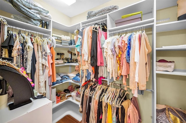 47 W Morgan St, Tarpon Springs, FL 34689 - view of spacious closet