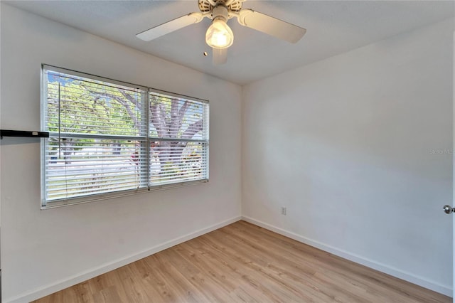 4414 W El Prado Blvd, Tampa, FL 33629 - photo 12