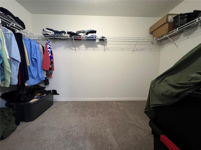 walk in closet with carpet flooring