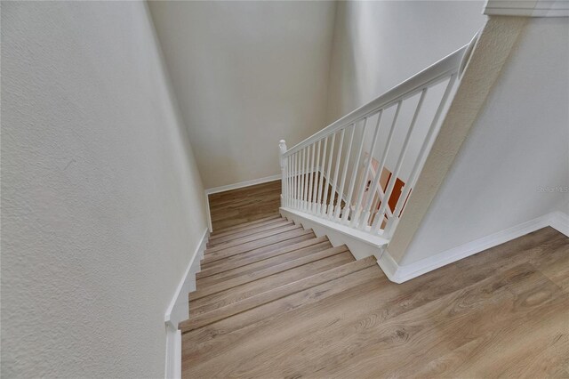 18734 Burndall Ct, Land O Lakes, FL 34638 - staircase with wood finished floors and baseboards