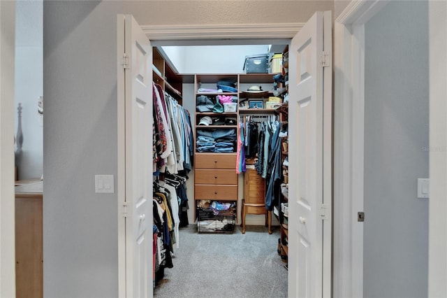 spacious closet featuring carpet